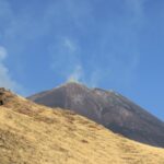 News - Notizie